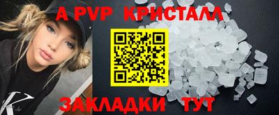 apvp Ачхой-Мартан