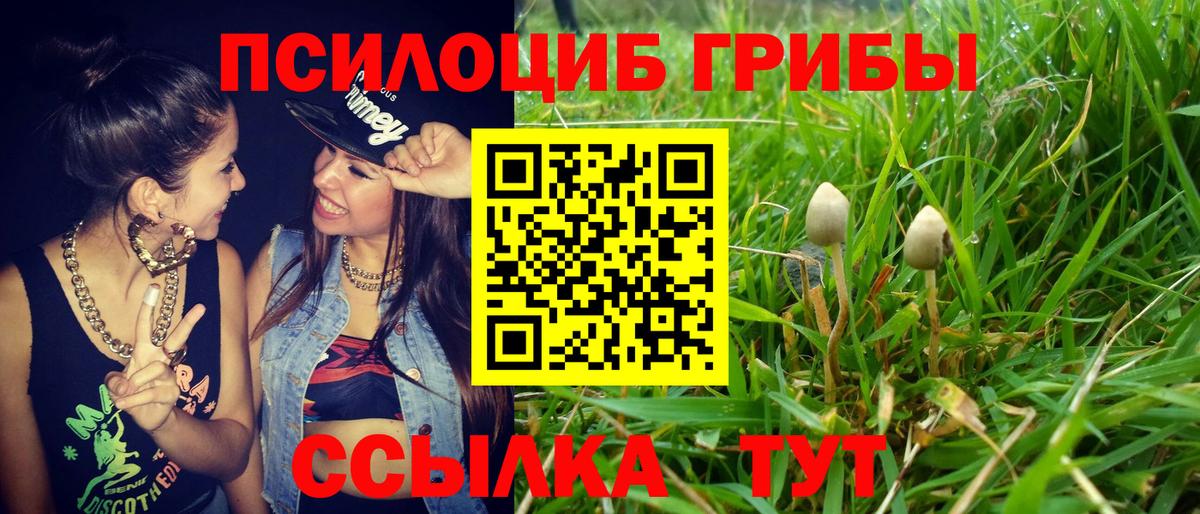 Галлюциногенные грибы MAGIC MUSHROOMS Жуковский
